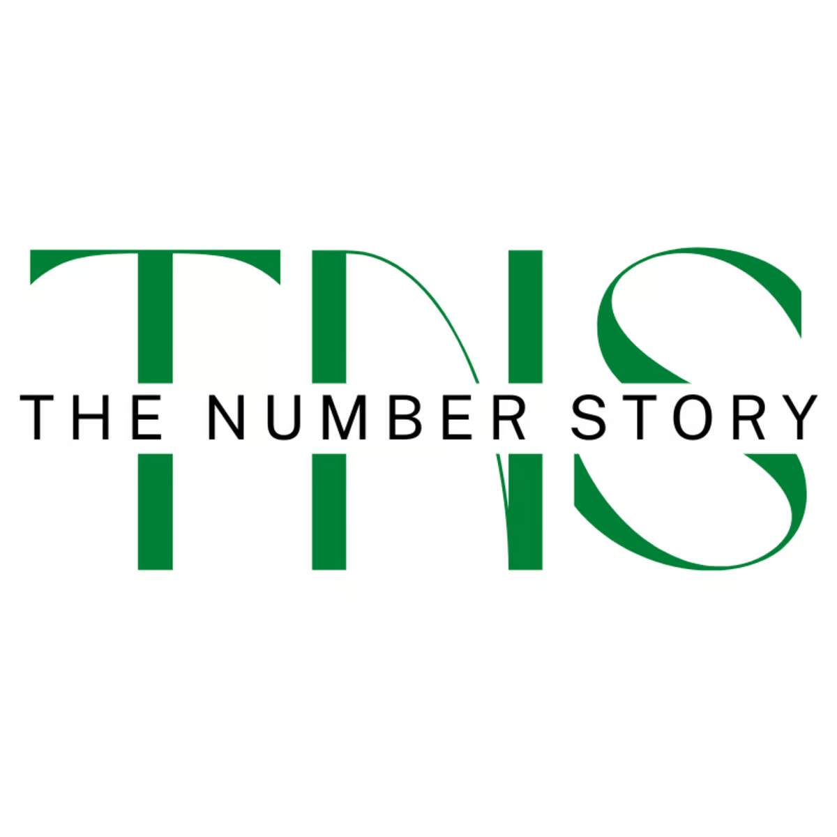The Number Story Logo